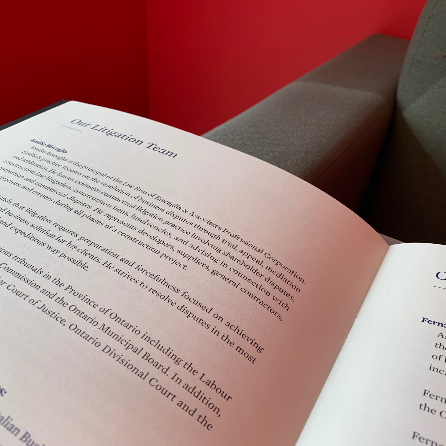 Books and publications photographed in an everyday reading environment.